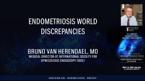 Endometriosis World Discrepancies  - Bruno van Herendael, MD?