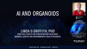 AI and organoids - 	Linda G Griffith, PhD?