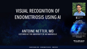Visual recognition of endometriosis using AI - Antoine Netter, MD?