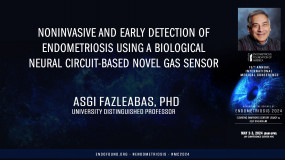 Noninvasive and early detection of endometriosis using a biological neural circuit-based novel gas sensor - Asgi Fazleabas PhD?