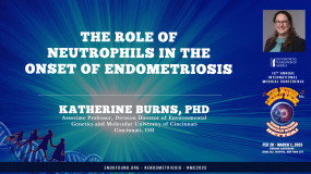 The Role of Neutrophils in the Onset of Endometriosis - Katherine Burns, PhD