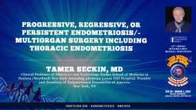 Progressive, Regressive, or Persistent Endometriosis/Multiorgan Surgery Including Thoracic Endometriosis - Tamer Seckin, MD?